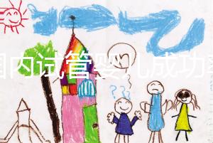 “國(guó)內(nèi)試管嬰兒成功率不比國(guó)外差” 對(duì)話輔助生殖專家:胚胎培養(yǎng)是概率提升關(guān)鍵