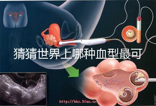 猜猜世界上哪種血型最可怕，史上超全排行榜為你揭曉答案