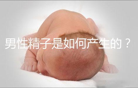男性精子是如何產生的？
