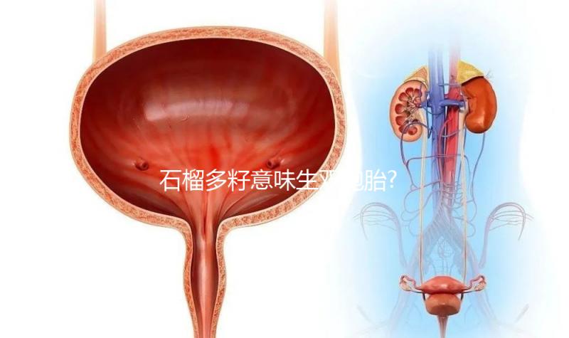 石榴多籽意味生雙胞胎?盤(pán)點(diǎn)孕婦夢(mèng)見(jiàn)石榴的意思