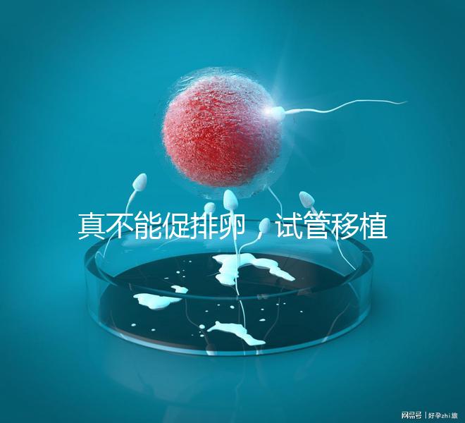 真不能促排卵，試管移植前吃優思明作用與功效竟是這