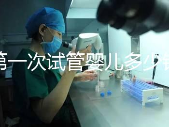 第一次試管嬰兒多少錢