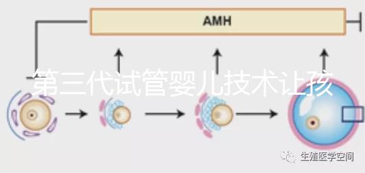 第三代試管嬰兒技術(shù)讓孩子不患遺傳性腫瘤