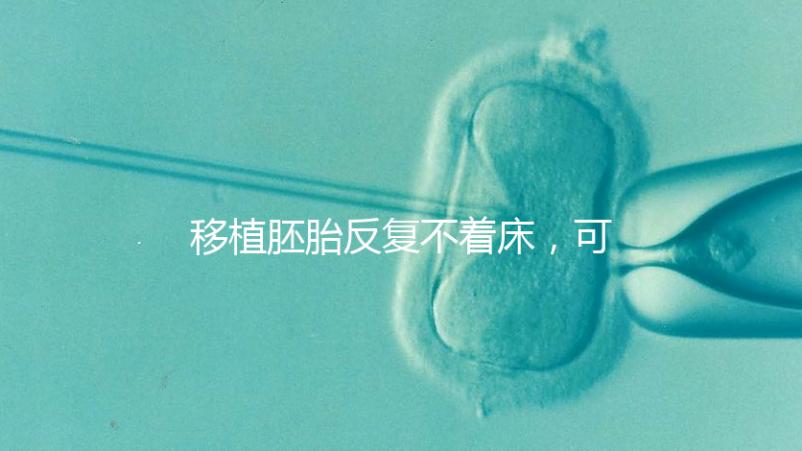 移植胚胎反復不著床，可能是這些原因造成的！