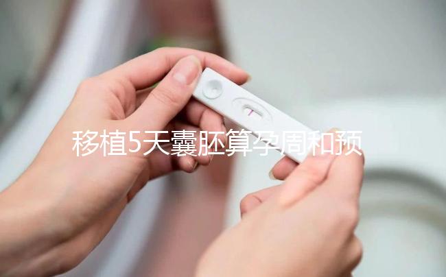 移植5天囊胚算孕周和預產期有訣竅，專家：用這2種方法
