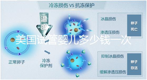 美國試管嬰兒多少錢一次？2025費用清單與避坑指南！