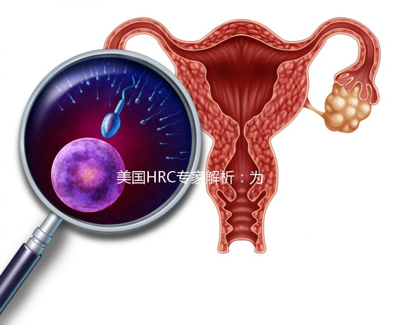 美國(guó)HRC專(zhuān)家解析：為何用第二代試管嬰兒技術(shù)結(jié)合精卵？–美國(guó)HRC
