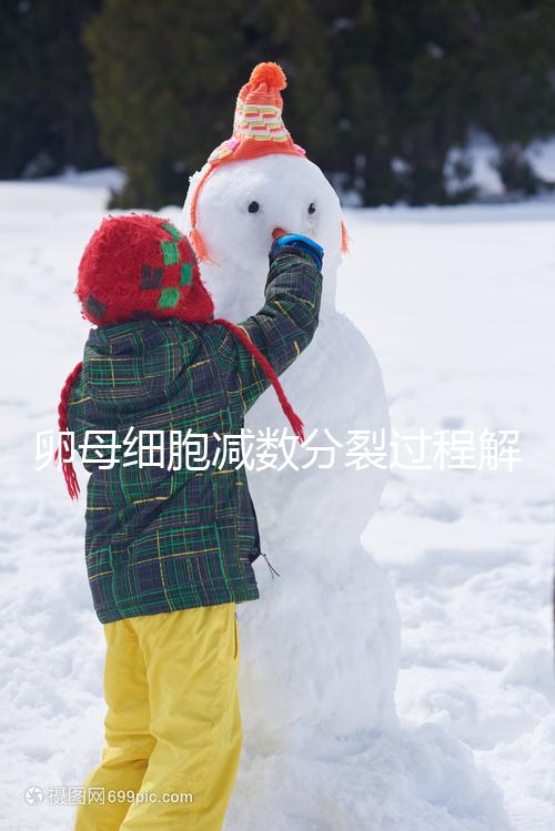 卵母細(xì)胞減數(shù)分裂過(guò)程解讀，從出生到成熟必經(jīng)這3個(gè)階段