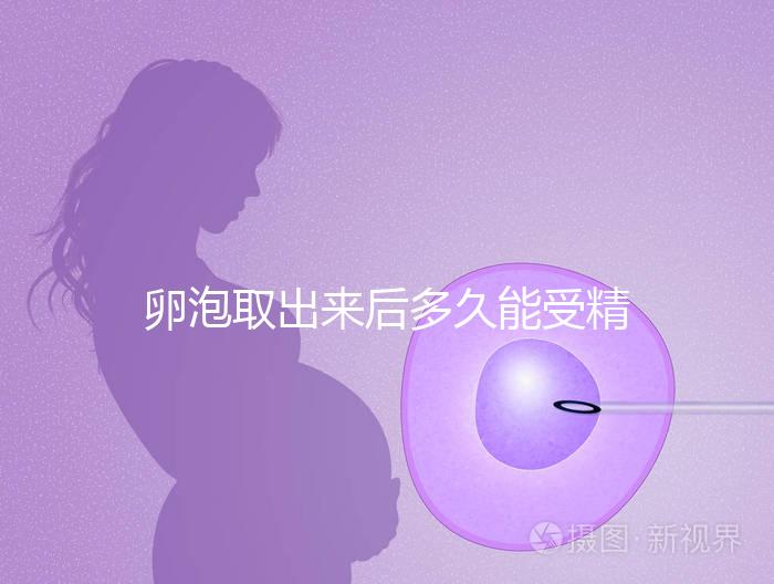 卵泡取出來后多久能受精做試管來瞧，想移植請算好時間