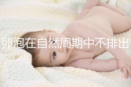 卵泡在自然周期中不排出可以移植快速get嗎？取卵好看嗎？