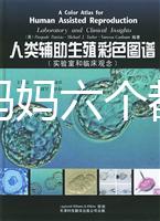 十個準媽媽六個都貧血，別讓貧血傷害你的“好孕”！