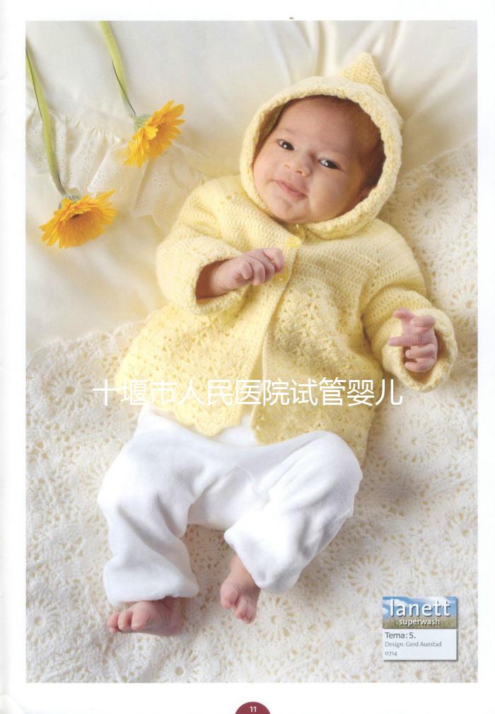 十堰市人民醫院試管嬰兒成功率真不低，專家講述養囊重要性