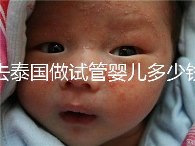 去泰國做試管嬰兒多少錢(泰國做試管嬰兒多少錢優(yōu)惠)