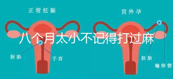 八個月太小不記得打過麻風疫苗看這,2大反應教你辨別