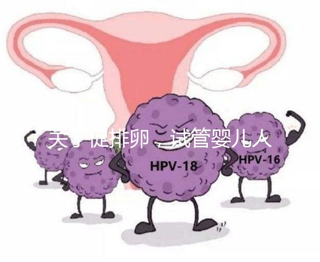 關(guān)于促排卵,試管嬰兒人群應(yīng)該知道的 6 個真相