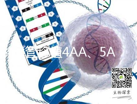 做試管移植4AA、5AA級別囊胚，寶寶出生后有什么不一樣嗎？
