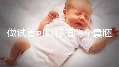 做試管可以移植兩個囊胚嗎?