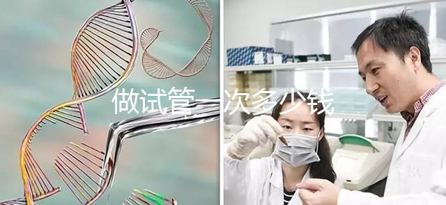 做試管一次多少錢