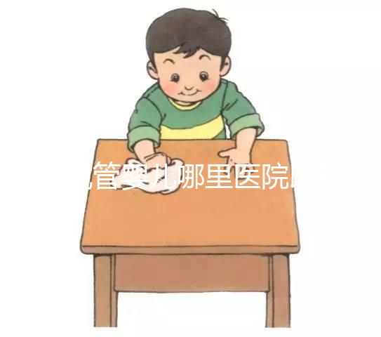 做試管嬰兒哪里醫(yī)院比較好