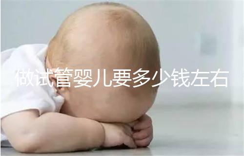 做試管嬰兒要多少錢左右？