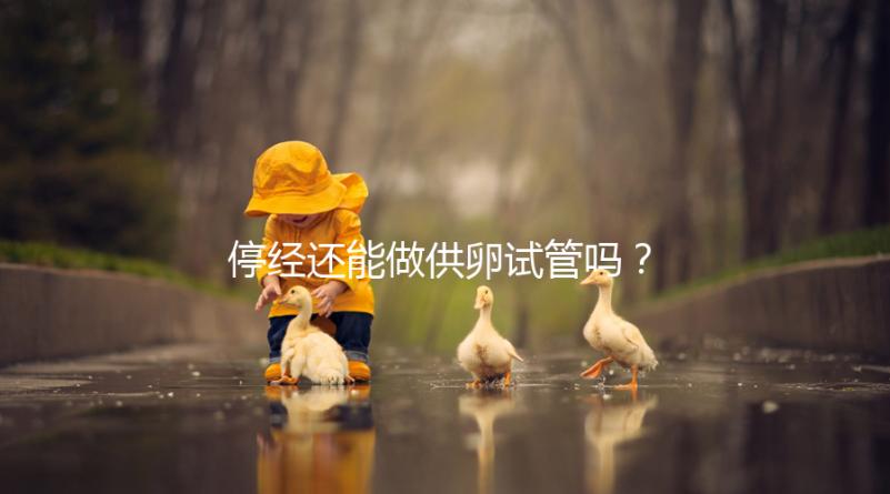 停經(jīng)還能做供卵試管嗎?達(dá)到這4個條件成功率翻一番