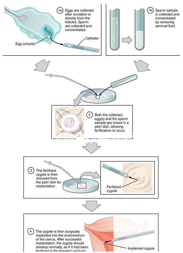 發(fā)錢鼓勵生孩要多關(guān)注第一孩!別被二胎、三胎沖昏頭腦