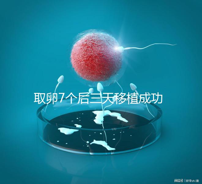 取卵7個后三天移植成功率真不低，關鍵要滿足這5大條件