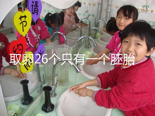 取卵26個只有一個胚胎成功率不低，次月移植凍胚易著床