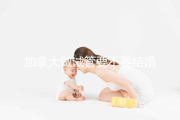 加拿大做試管要不要結(jié)婚證不知道，但這2樣證件必須要！