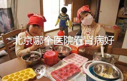 北京哪個(gè)醫(yī)院看腎病好
