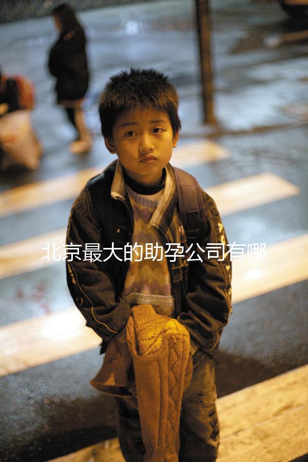 北京最大的助孕公司有哪些，是合法的嗎？