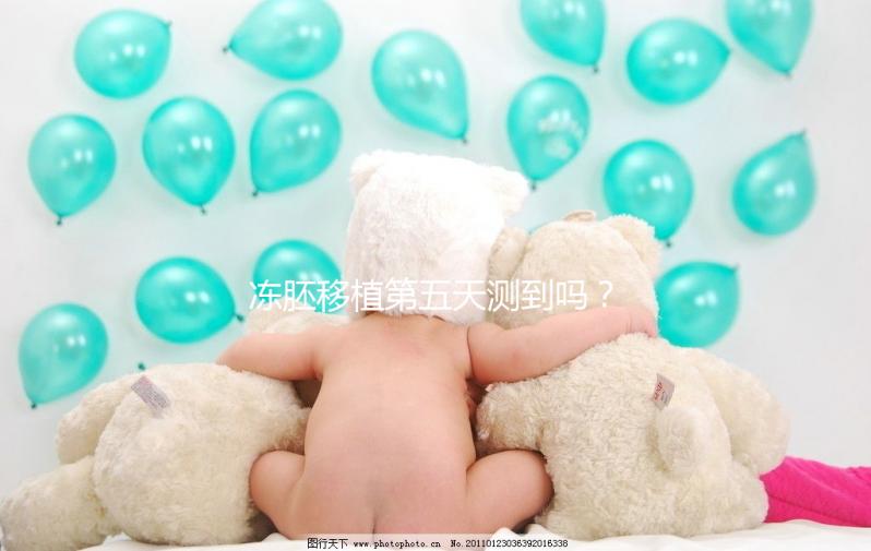 凍胚移植第五天測到嗎？肚子脹or腰疼這些感覺暗示著床了