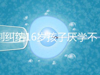 別糾結16歲孩子厭學不去上學怎么辦了，弄清原因再解決