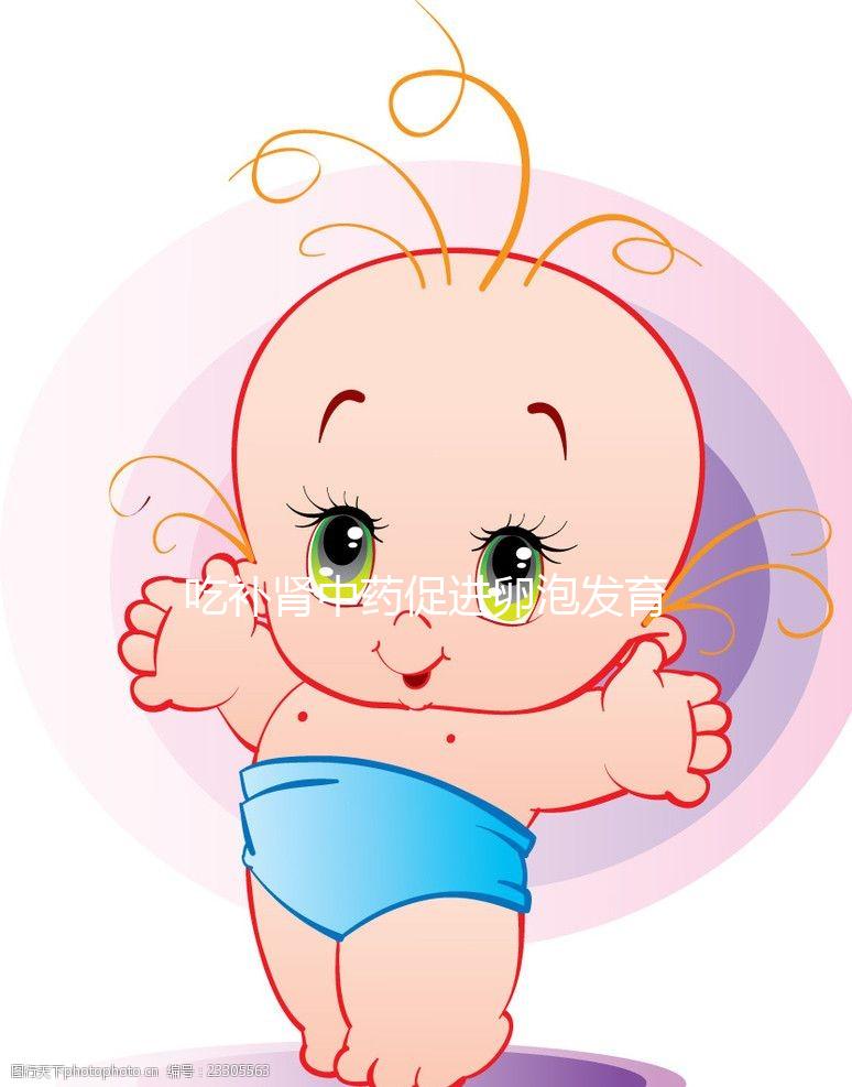 吃補腎中藥促進卵泡發育有奇功，按方子調理卵泡大又圓