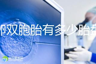 同卵雙胞胎有多少胎盤?1個or2個當場講給你聽