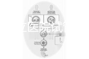 國內(nèi)公立醫(yī)院試管嬰兒費用概覽：一般要花多少錢？
