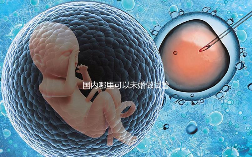 國內哪里可以未婚做試管?大概要花多少錢?