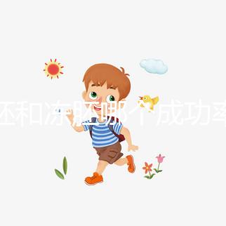 囊胚和凍胚哪個(gè)成功率高？試管移植選擇策略解析