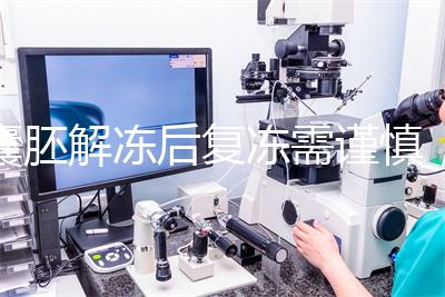 囊胚解凍后復凍需謹慎，這些對胚胎質量的影響不可不知