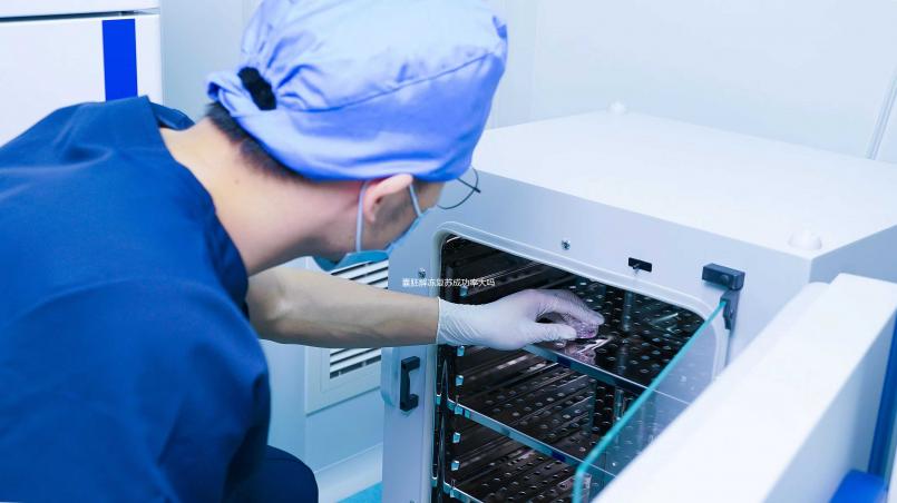 囊胚解凍復(fù)蘇成功率大嗎?80%的人都不知道的真相