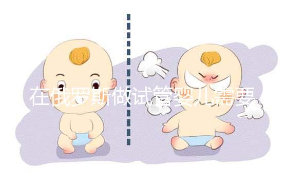 在俄羅斯做試管嬰兒需要什么條件？這四個條件缺一不可