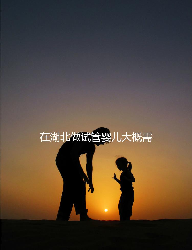 在湖北做試管嬰兒大概需要準備多少費用？詳細費用解析