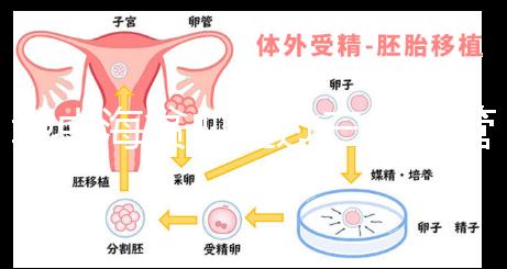 地中海貧血通過三代試管嬰兒真的可以生出健康的孩子嗎？