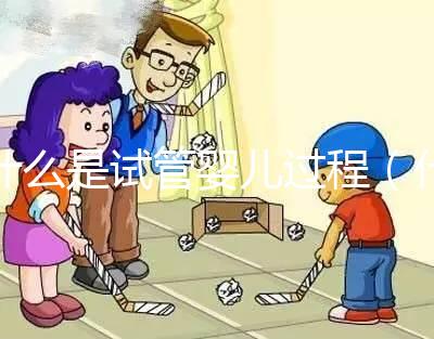 什么是試管嬰兒過(guò)程(什么是試管嬰兒過(guò)程視頻)