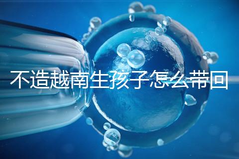 不造越南生孩子怎么帶回國戶口？流程和資料都有