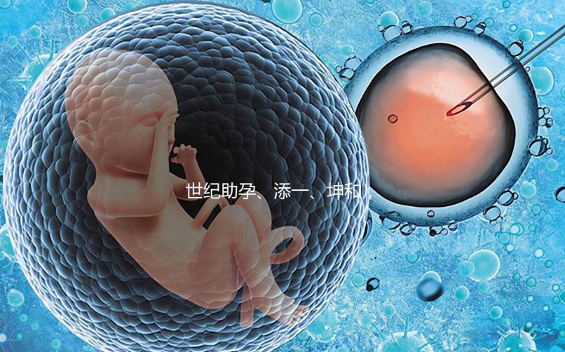 世紀助孕、添一、坤和，一起來看看上海助孕公司哪家好？