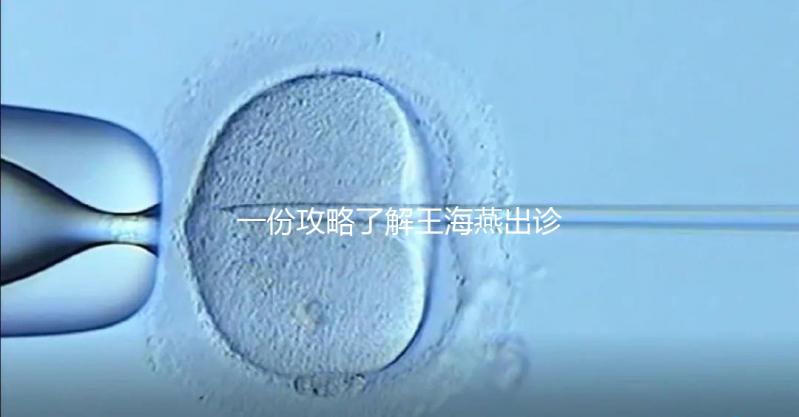 一份攻略了解王海燕出診表，讓你在北醫三院掛號更簡單