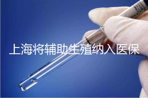 上海將輔助生殖納入醫(yī)保支付,能報(bào)銷幾次?異地患者納入嗎?詳解來了