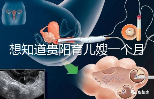 想知道貴陽育兒嫂一個月戳多少錢，云巖2萬夠不夠