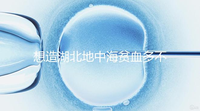 想造湖北地中海貧血多不多戳，武漢發病率高不高看這篇